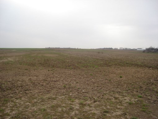 BS3-GS-262356