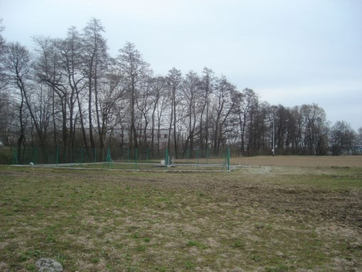 BS3-GS-262356
