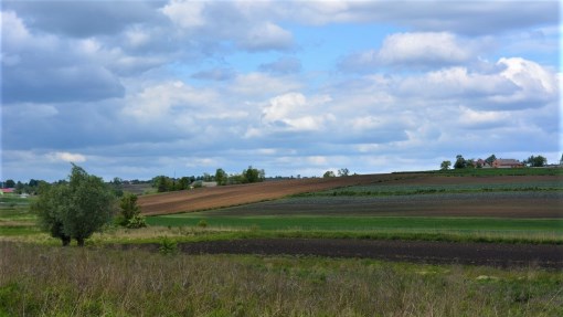 BS5-GS-286387