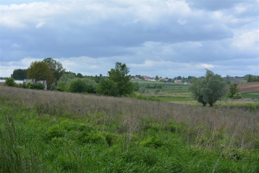 BS5-GS-286388