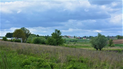 BS5-GS-286391