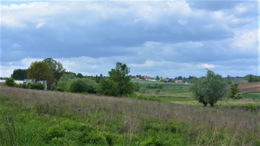 BS5-GS-286392