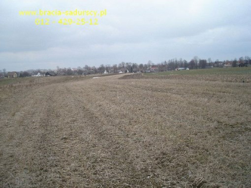 BS5-GS-295128