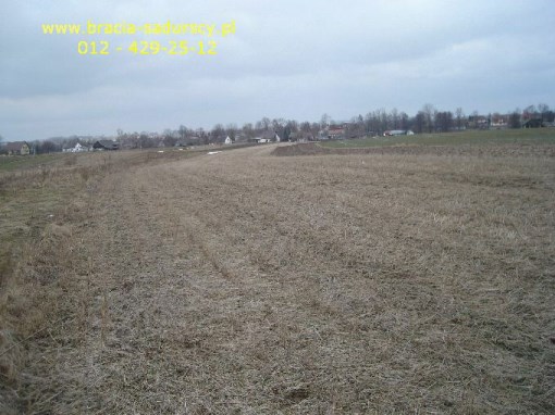 BS5-GS-295128