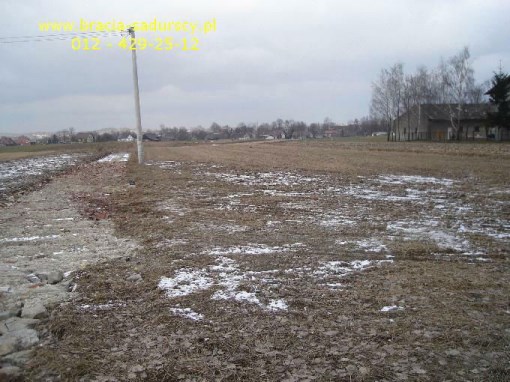 BS5-GS-295128