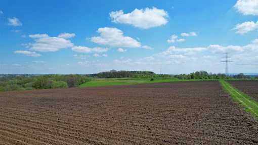 BS5-GS-298578