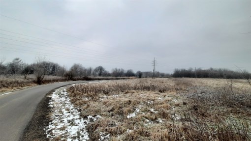 BS5-GS-298650