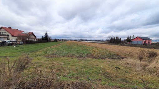 BS5-GS-298661