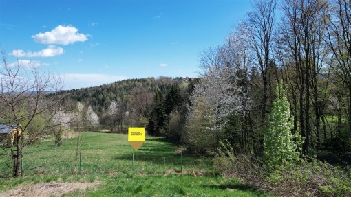 BS5-GS-307633