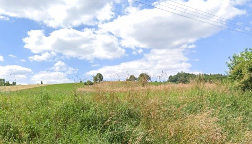 BS5-GS-311123