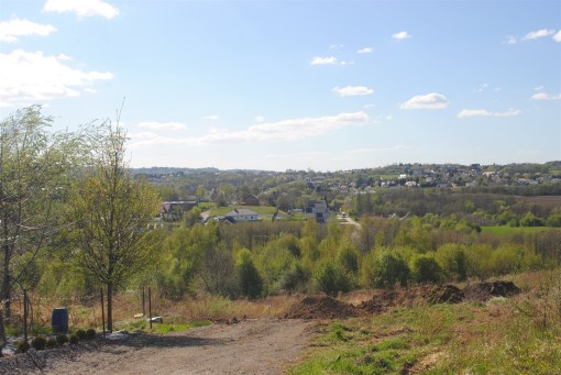 BS1-GS-312691