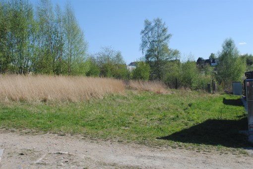 BS1-GS-312691