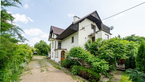 BS1-DS-313753