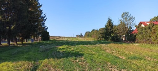 BS1-GS-313949