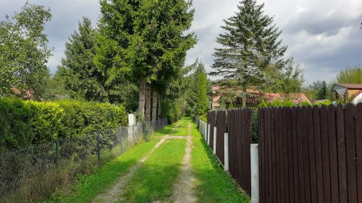 BS5-GS-314855