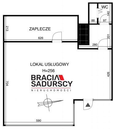 BS1-LS-316021