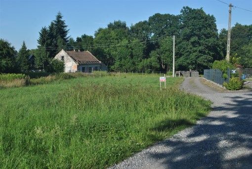BS1-GS-316737