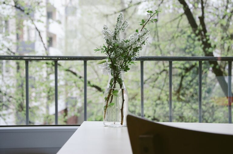 Feng shui, podstawowe zasady